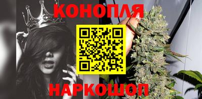спиды Кинель