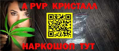 гашиш Кингисепп