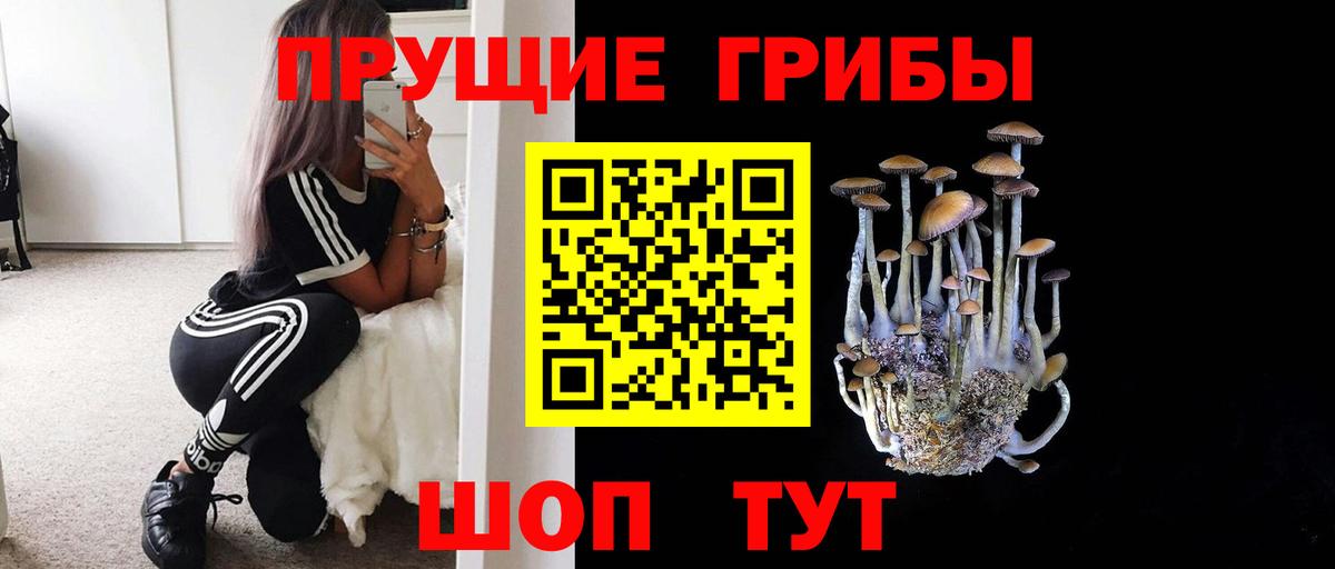 Галлюциногенные грибы Psilocybe  Вход с VPN  Алексин 